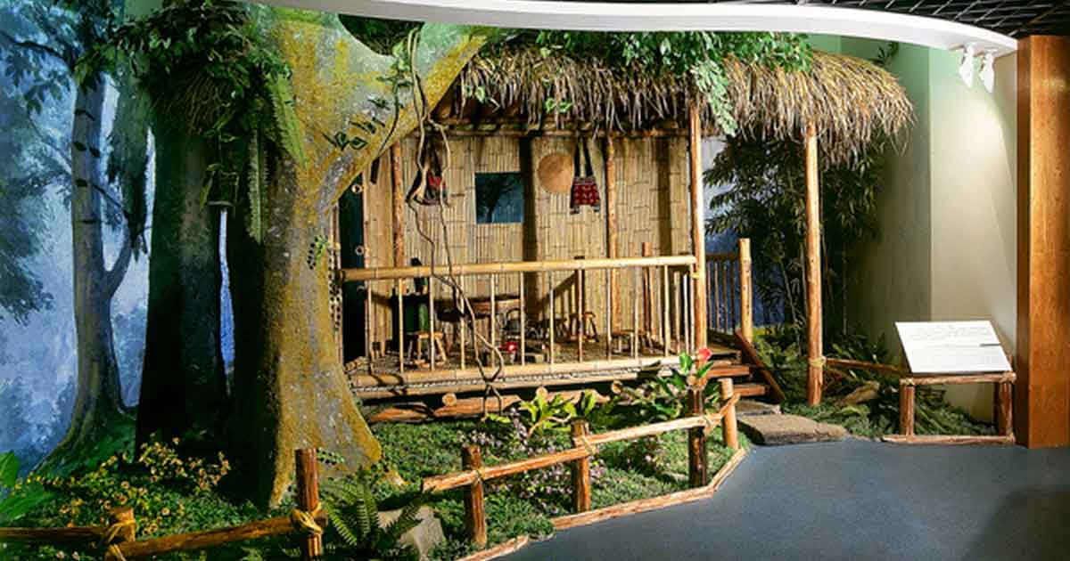 Музей чая Зал чайных традиций