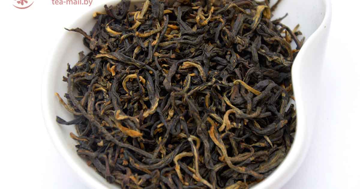 Гу Шу Инь Я Хун Ча