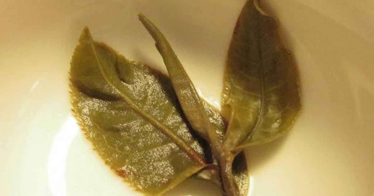 Чайный манифест