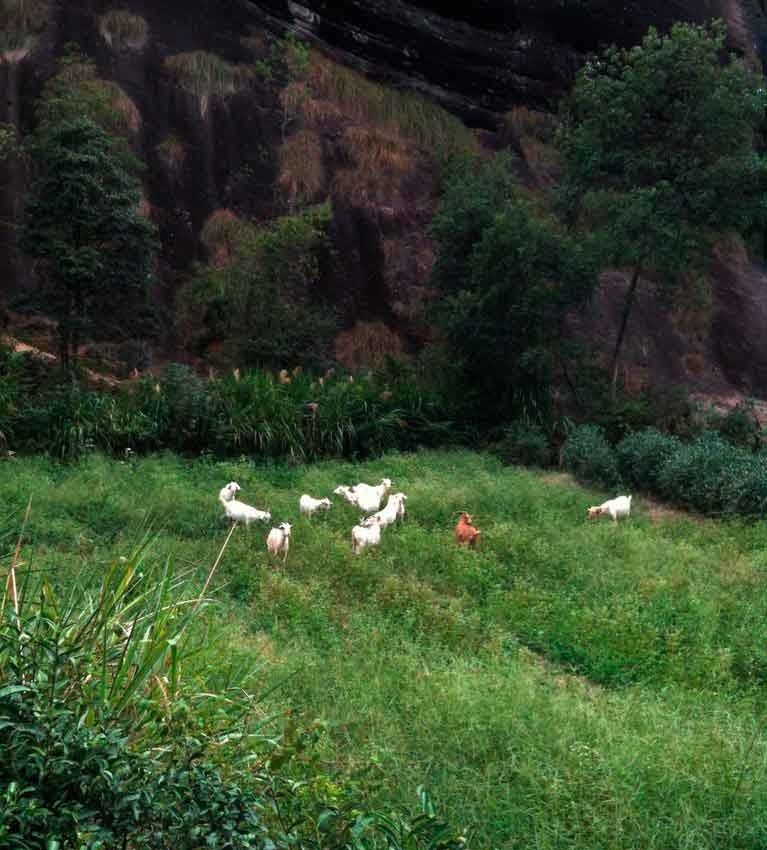 У И Шуй Сянь — Водяной Бессмертный с гор У И