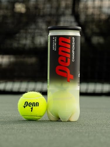 Vue 4 de Penn Championship Balles De