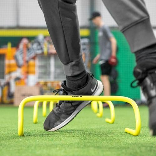 Vue 4 de Forza Haies De Vitesse