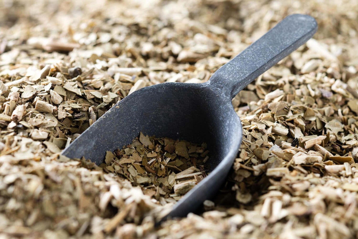 How to Get Rid of Wood Chips: Easy Disposal Methods Featured image for blog post: How to Get Rid of Wood Chips: Easy Disposal Methods
