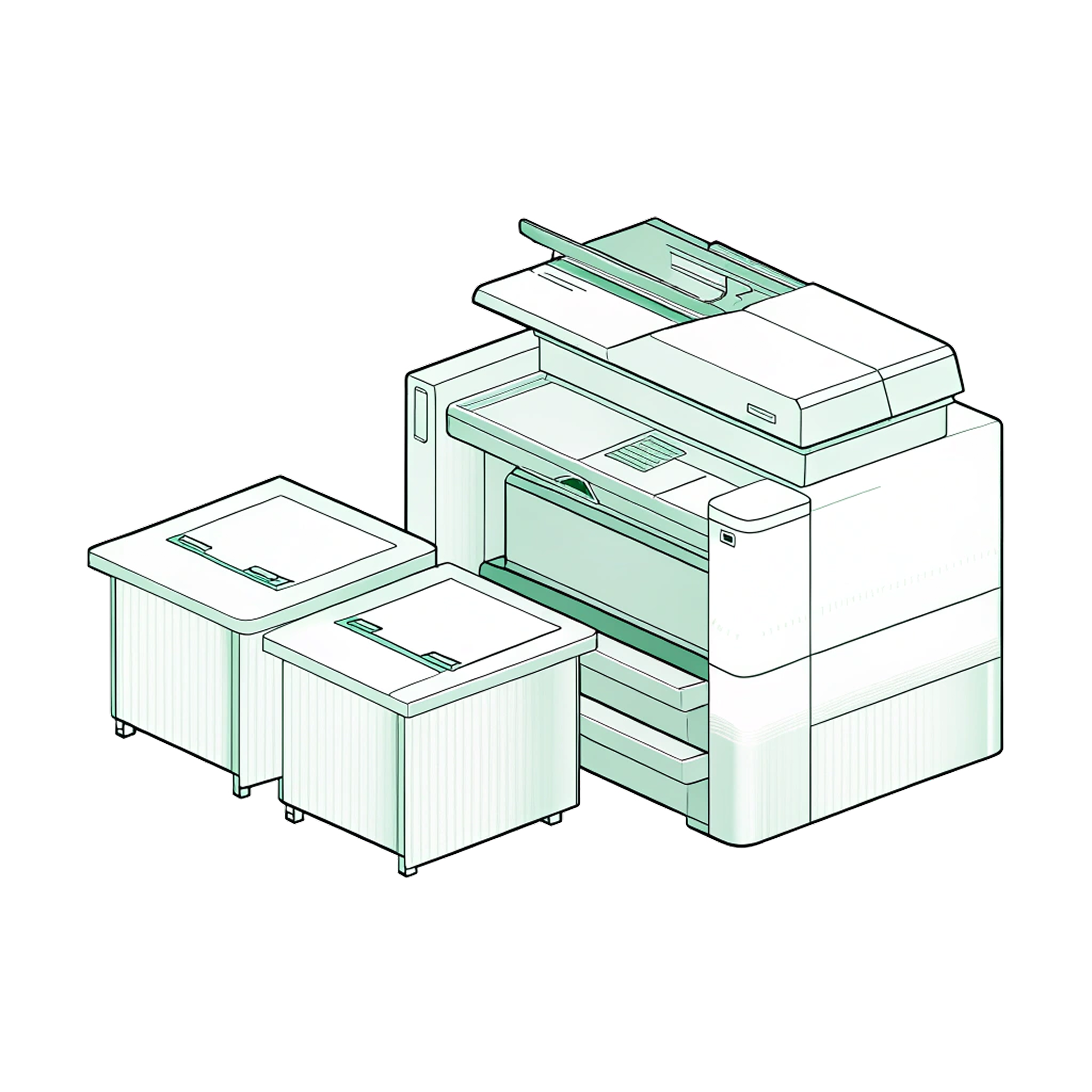 LARGE ITEMS removal service