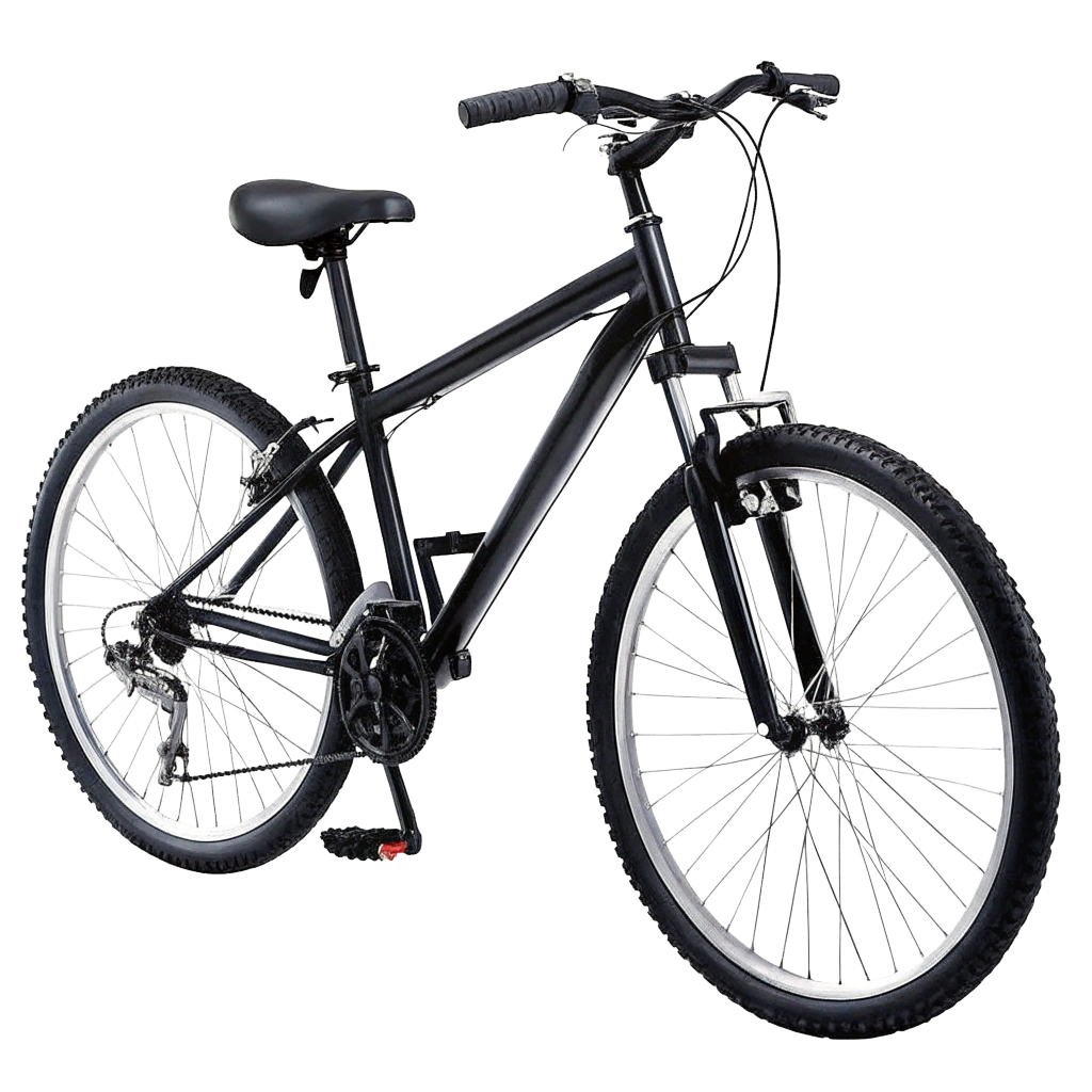 Bicycle removal service