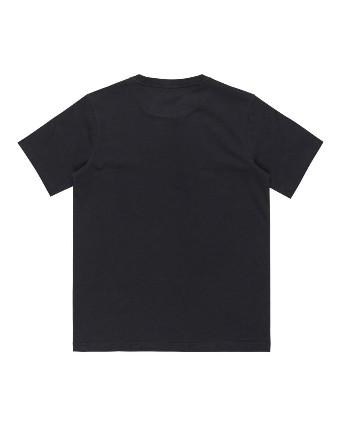 T-SHIRT EV SHAPE ALL DAYS QUIKSILVER thumbnail 2