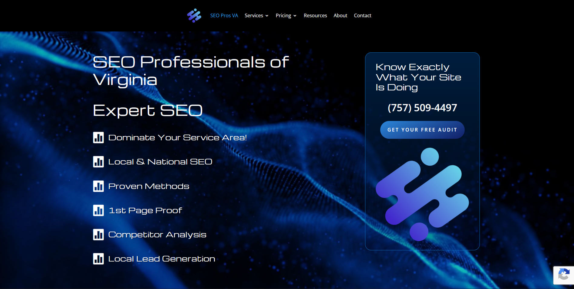 SEO Professionals of Virginia