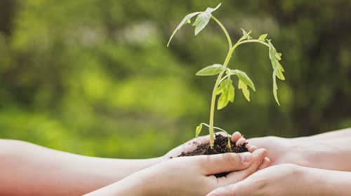 green-initiative-by-sa-technologies