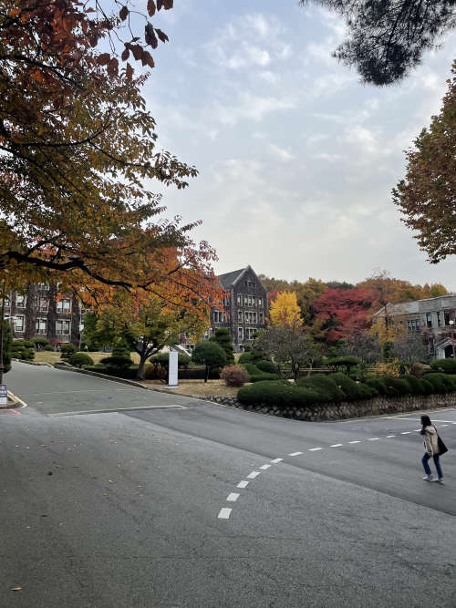 Yonsei University on an Autumn day