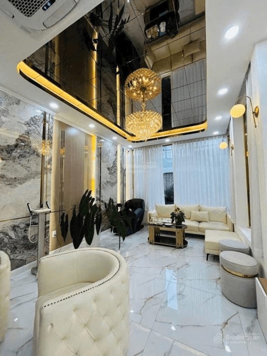 Biệt thự mini đường Nguyễn Thị Thập, phường Tân Thuận - Ảnh 4