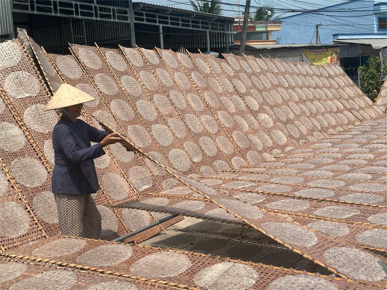 Tận Mắt Chứng Kiến Quy Trình Làm Bánh Tráng Ngon Cần Thơ | Làng Nghề Thuận Hưng – Di Sản Hơn 200 Năm Tuổi