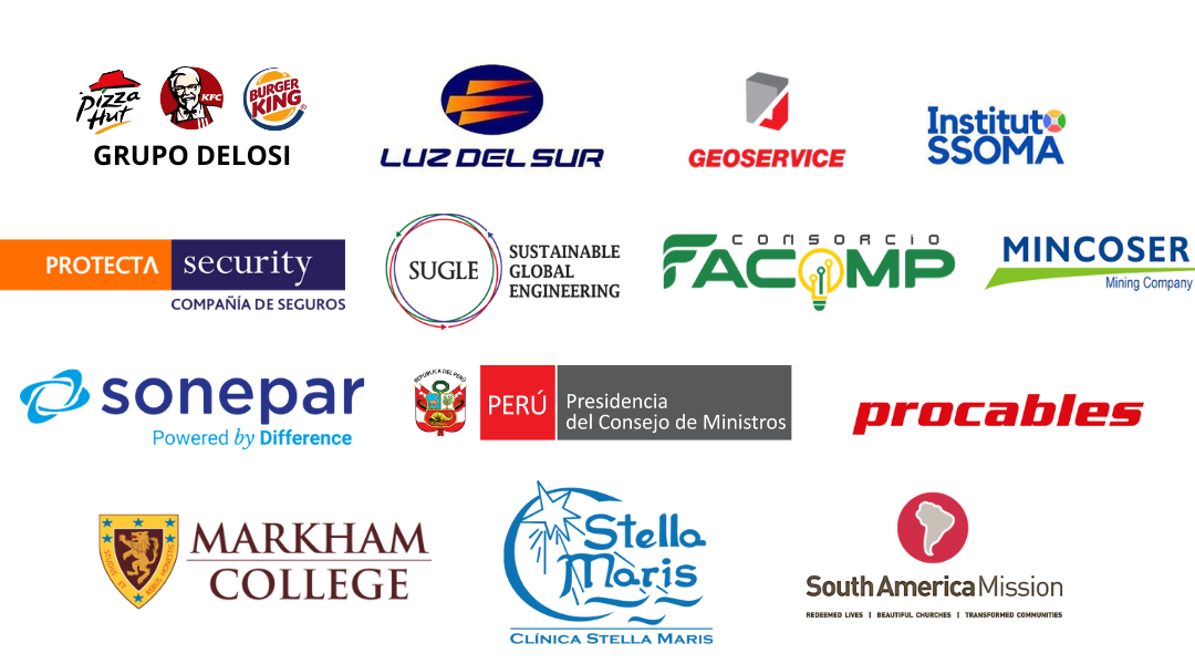 Grupo DELOSI, Luz del Sur, Geoservice, Instituto SSOMA, Protecta Security, SUGLE, FACOMP, MINCOSER