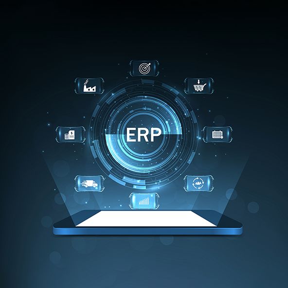 Industrial ERP & CRM Systems