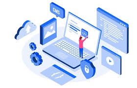 CMS Website Development