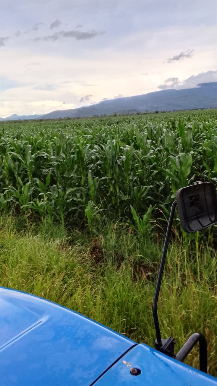Farm operations