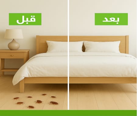 قبل وبعد رش البق الكويت