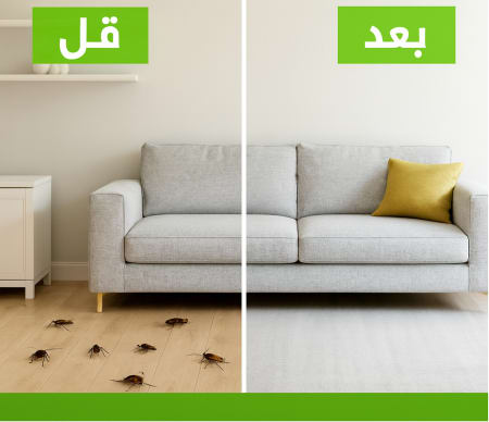 قبل وبعد رش الصراصير في الكويت
