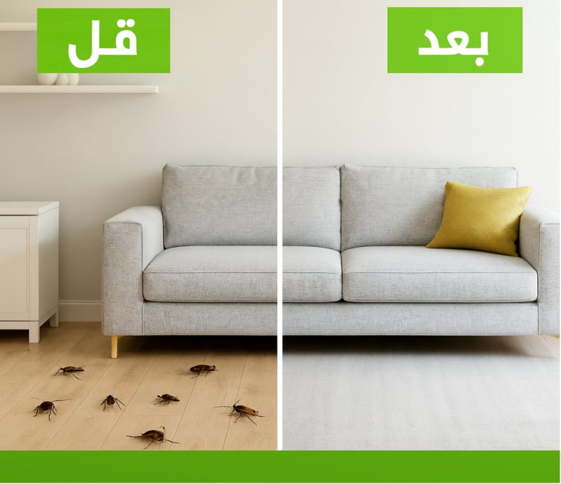 قبل الخدمة