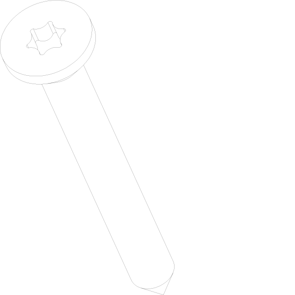 [152.5310] TORX Гвинт 3.5x32 Reynaers