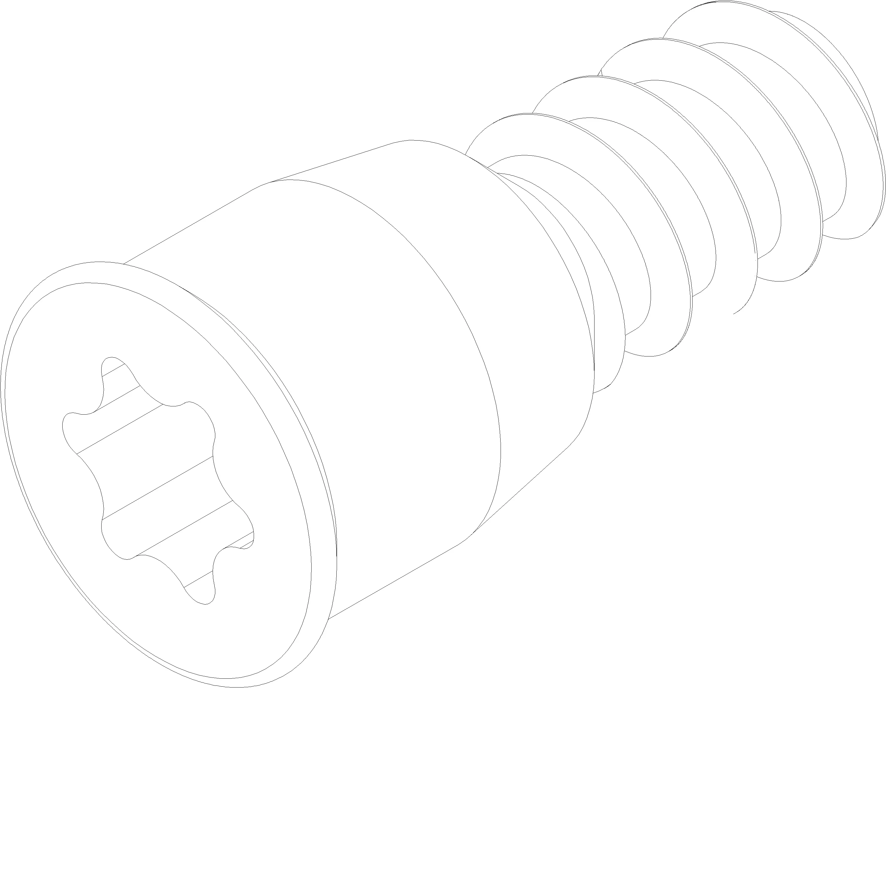 Зображення Гвинт [030.5049]