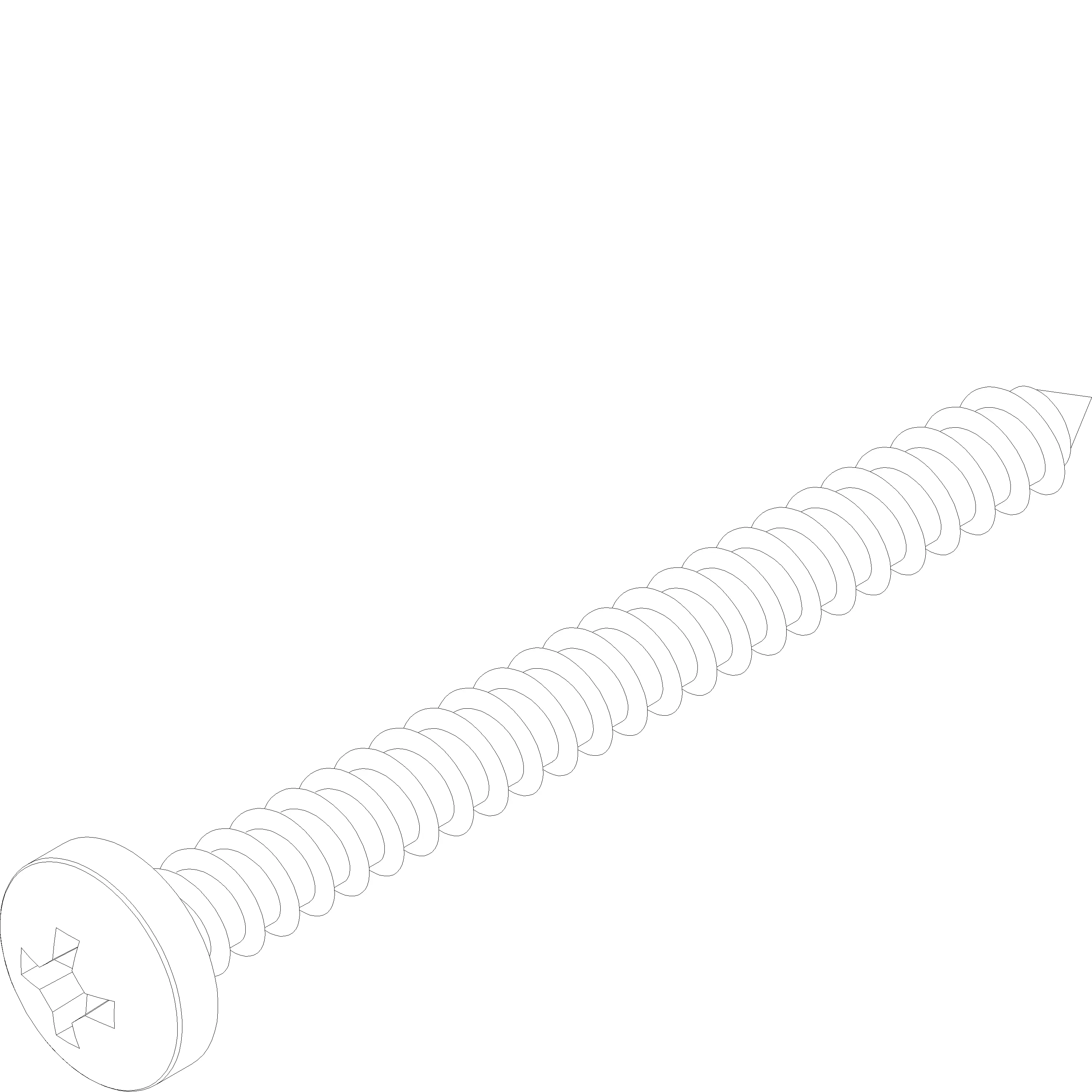 Зображення Гвинт SR2 4.8x50 [030.5219]