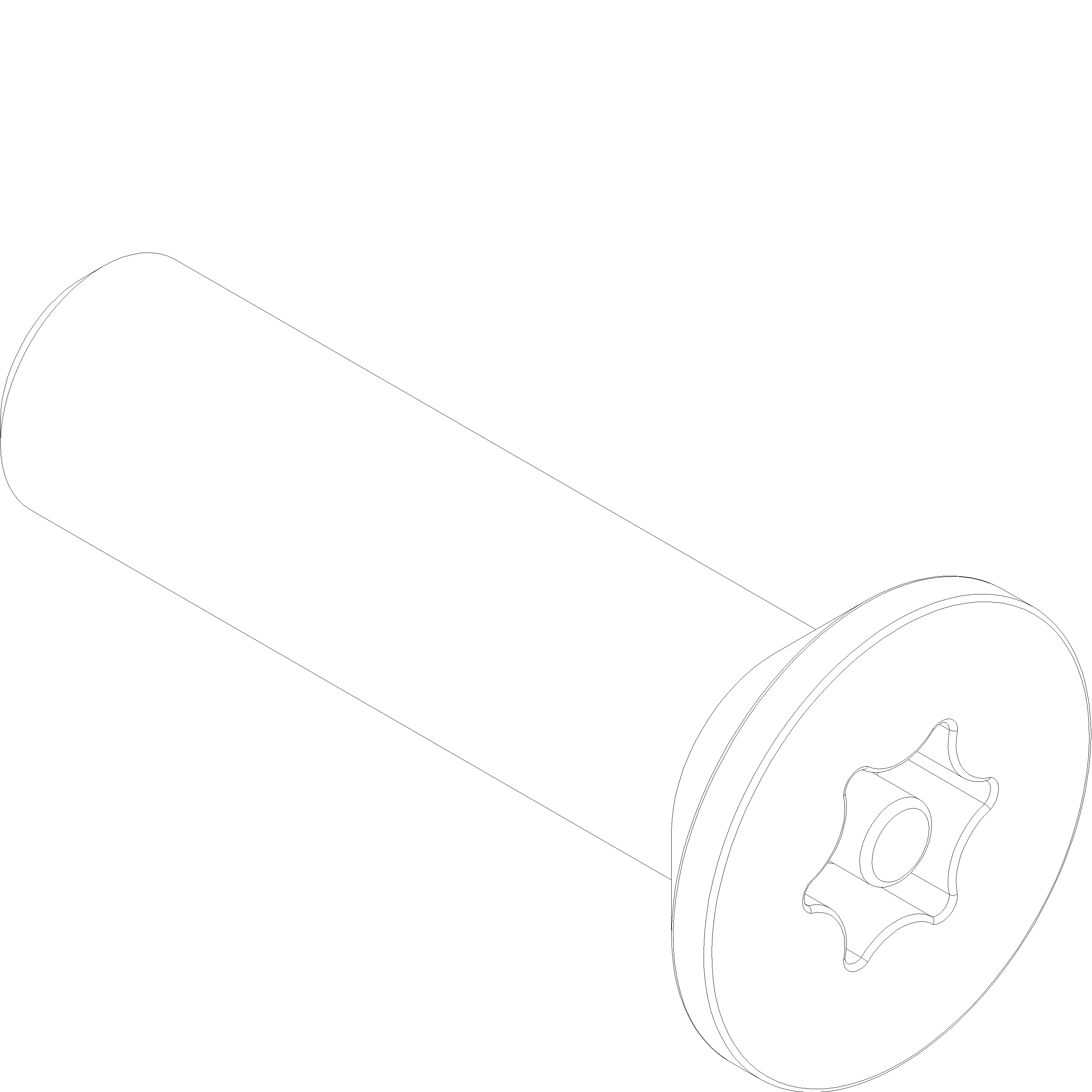 Зображення TORX SCREW M5 x 20 WITH PIN [050.5251]