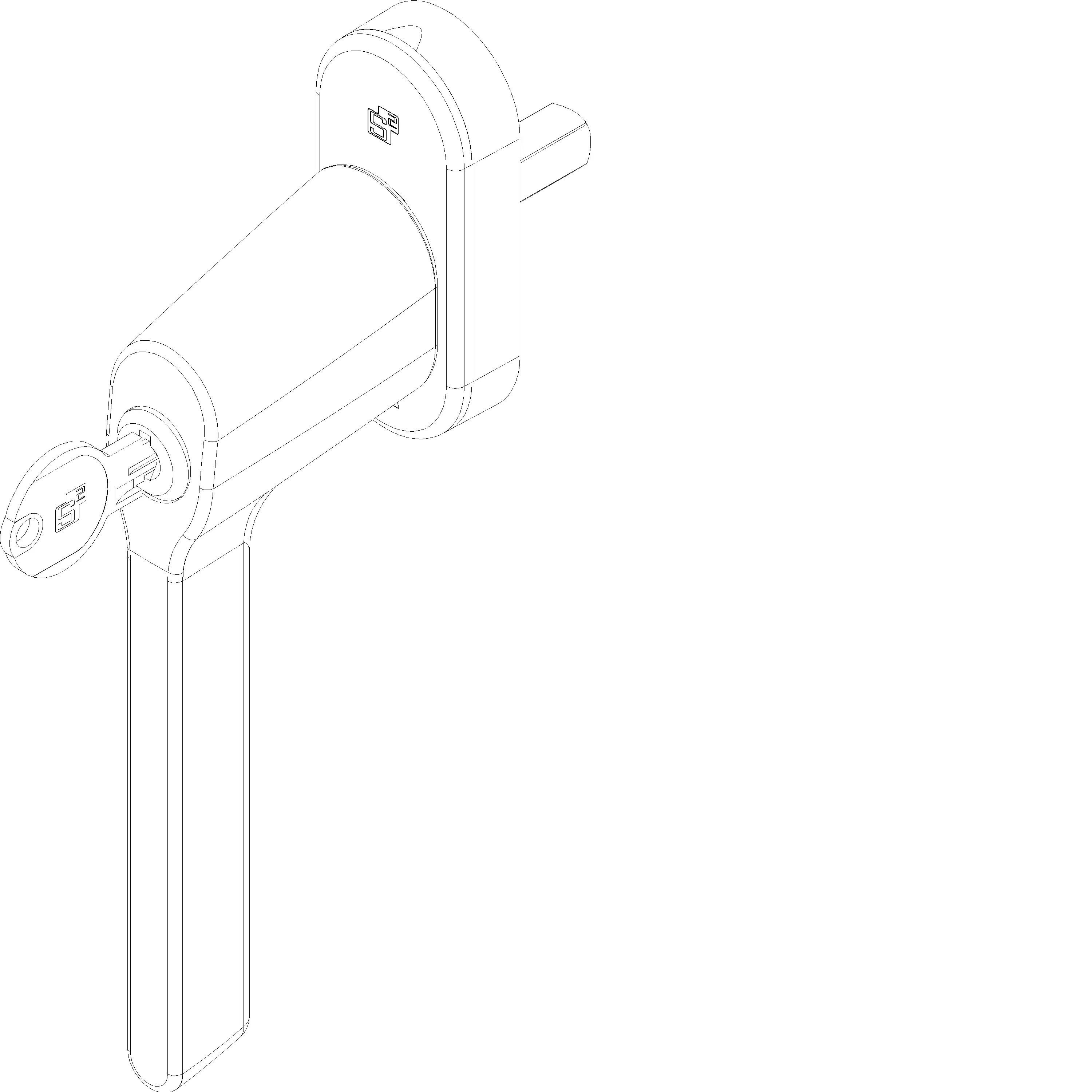 Зображення HANDLE WITH LOCK [060.7091.PA]