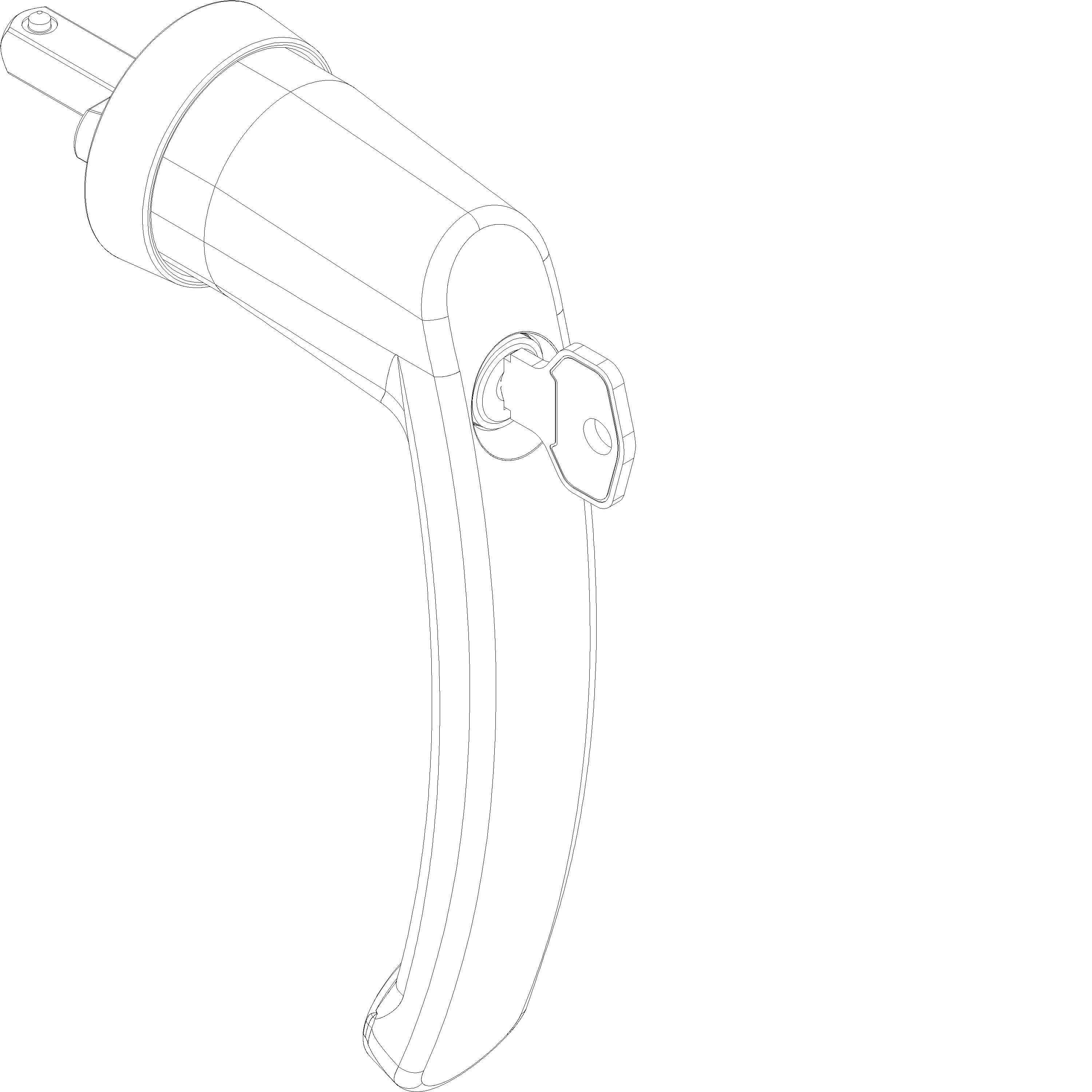 Зображення HANDLE WITH LOCK [060.7921.PA]