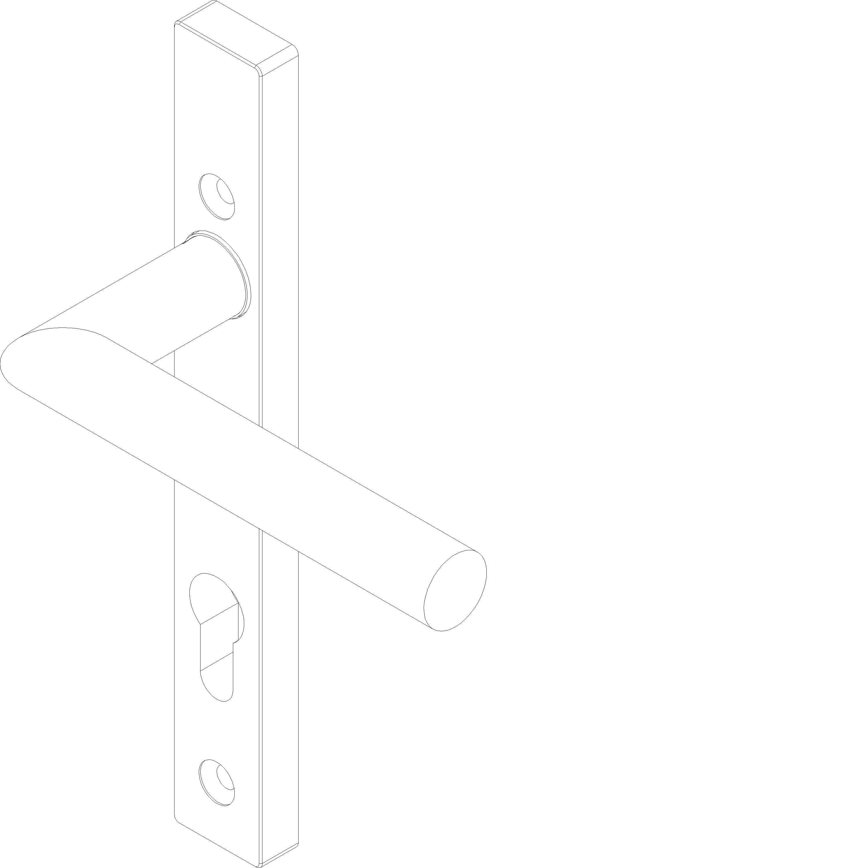 Зображення SLIDING DOOR HANDLE WITH CYLINDER INSIDE [061.8946]