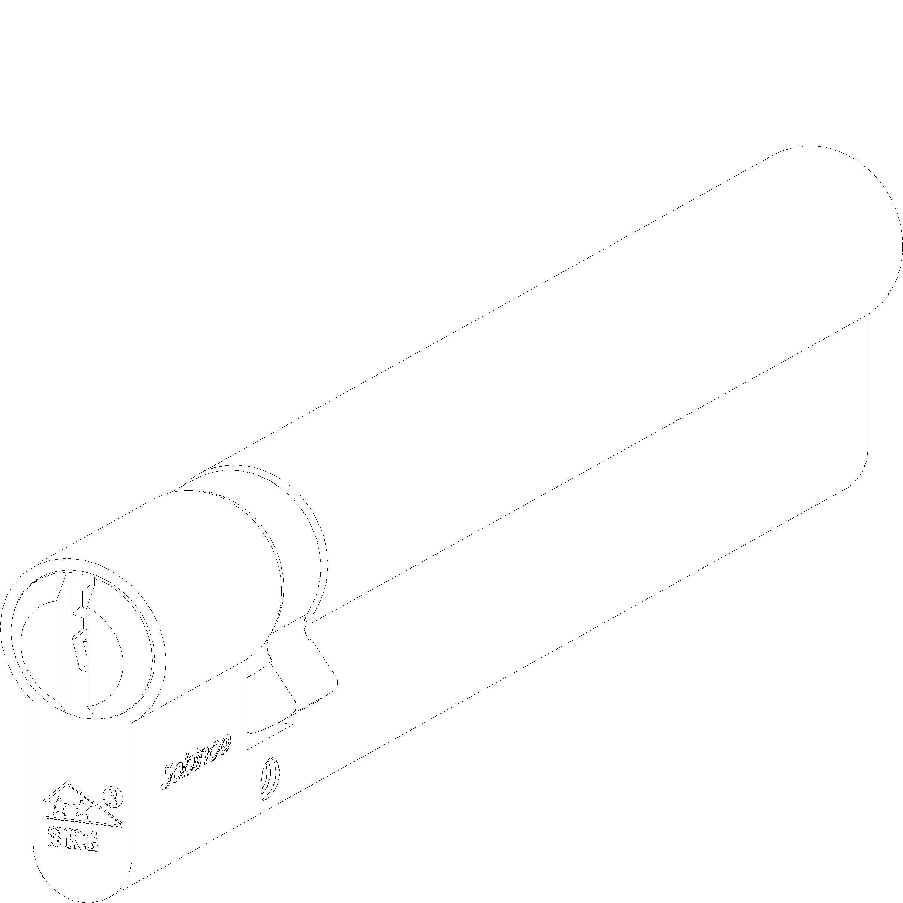 Зображення Циліндр з захистом від злому 110 мм A=30 B=80 [161.7052]