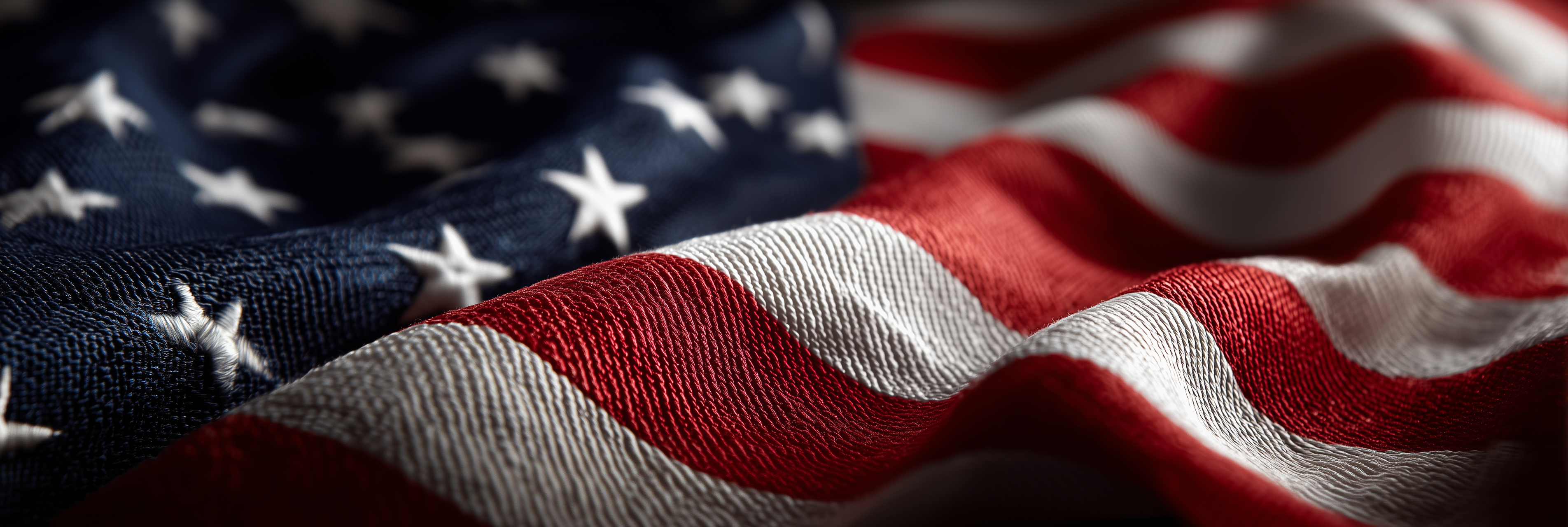 Bringing Common Sense and Traditional Values back Into our Government… <br class='hidden sm:inline' />one voter at a time.