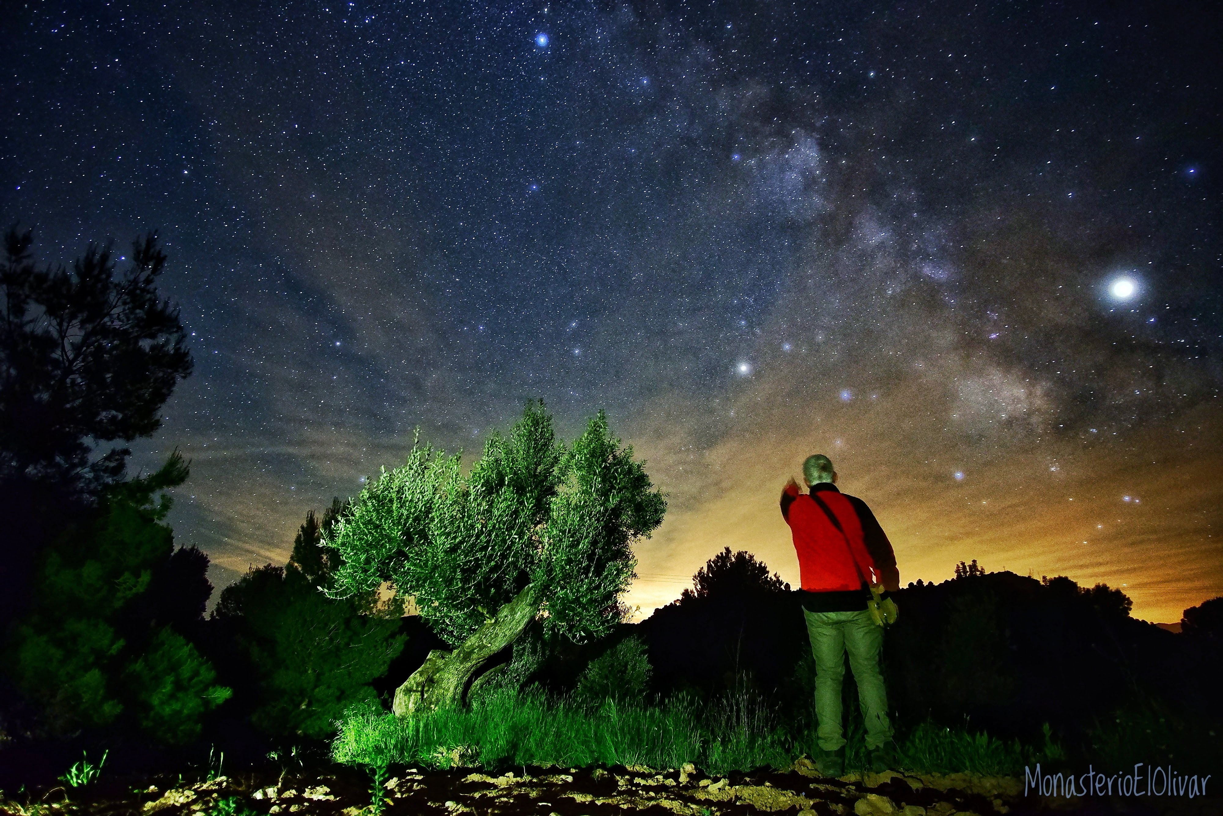 La naturaleza alrededor
