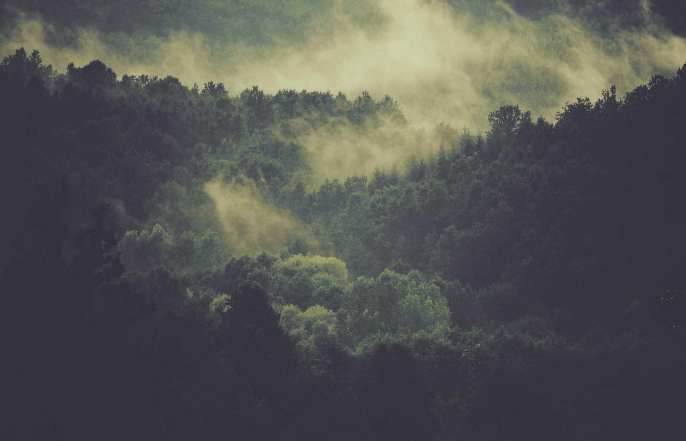 Gaziantep Ekonomi: bolgede uygulama basliyor