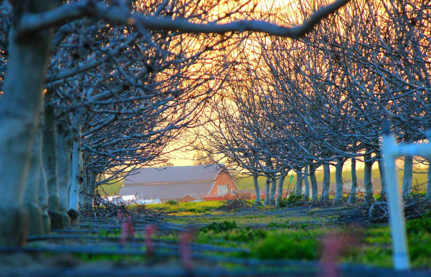 Istanbul Spor: kamuoyunda genis yanki buldu