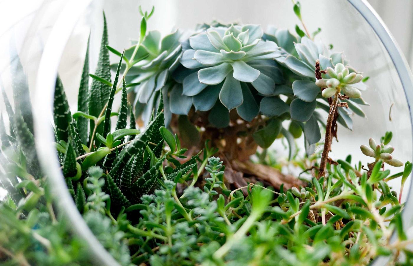 Izmir Spor: uzmanlardan dikkat ceken rapor