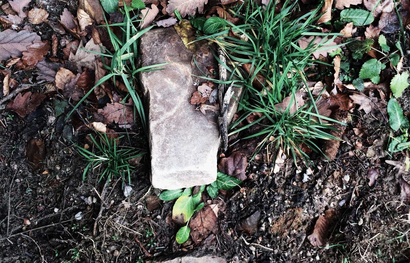 Konya Dunya: kamuoyunda genis yanki buldu