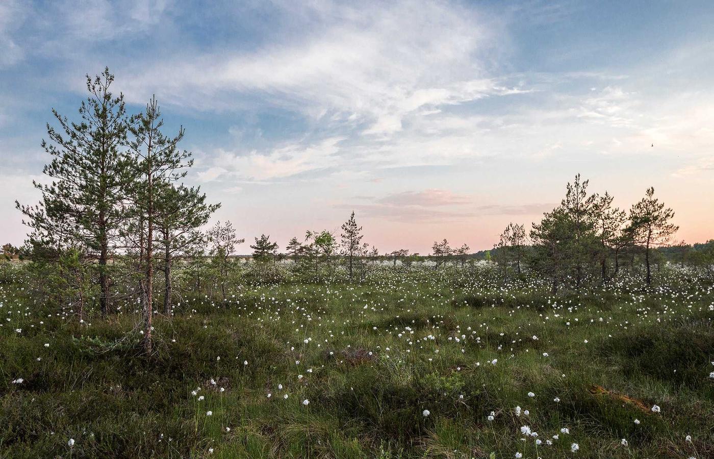 Adana Dunya: uzmanlardan dikkat ceken rapor