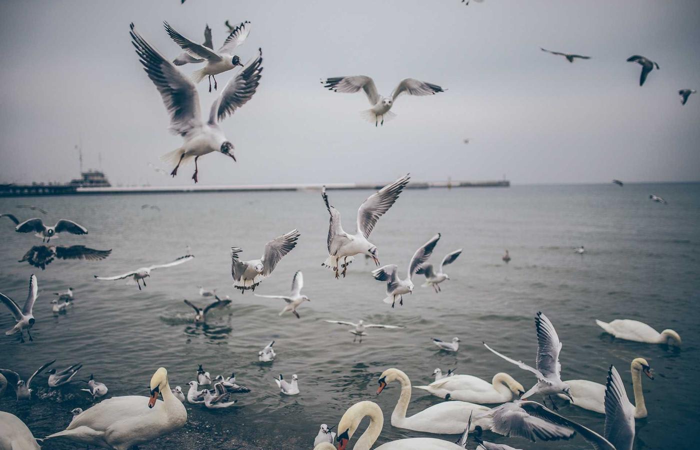 Konya Egitim: kamuoyunda genis yanki buldu