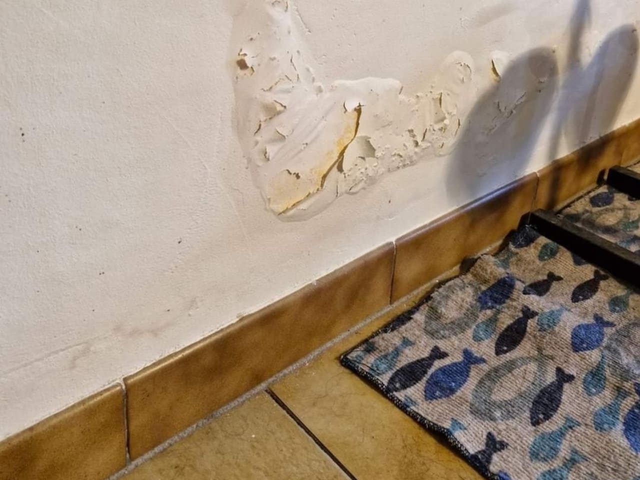Pied de mur touché par l'humidité
