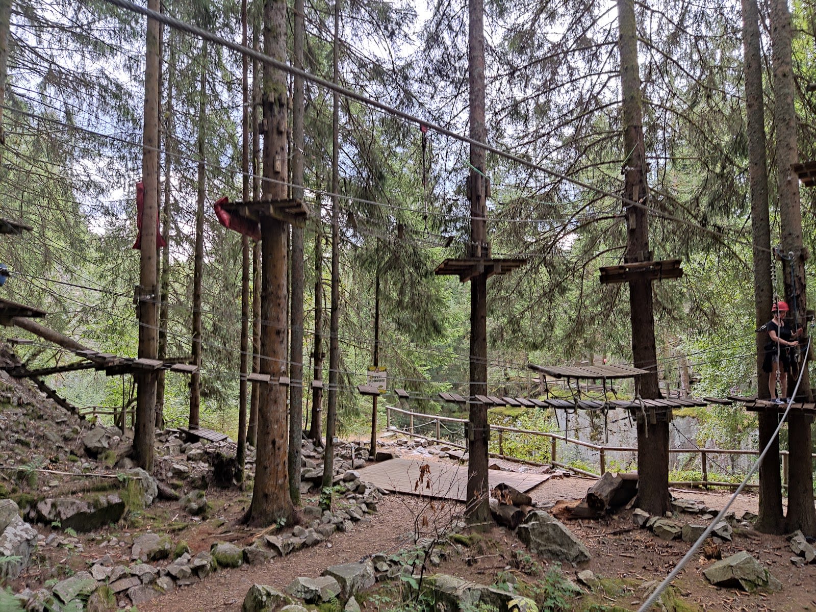 Parcours acrobatique en forêt