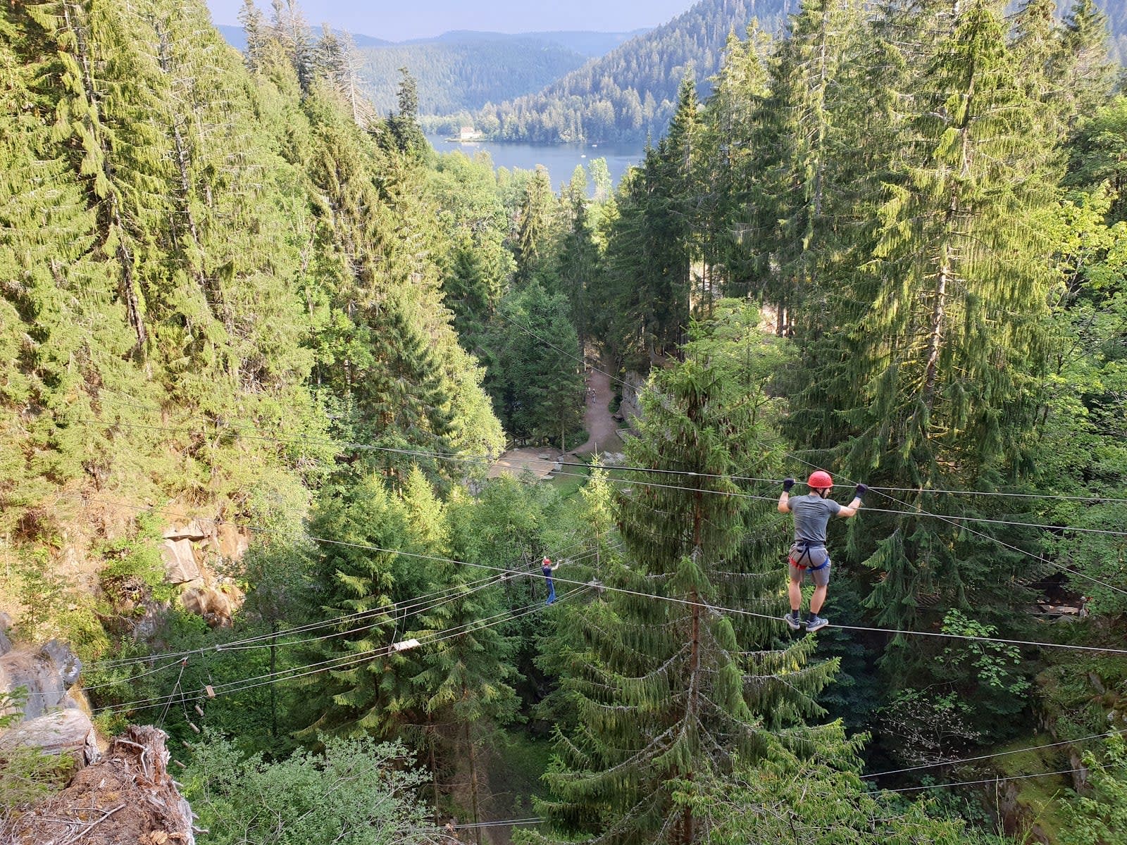 Parcours acrobatique en forêt de montagne