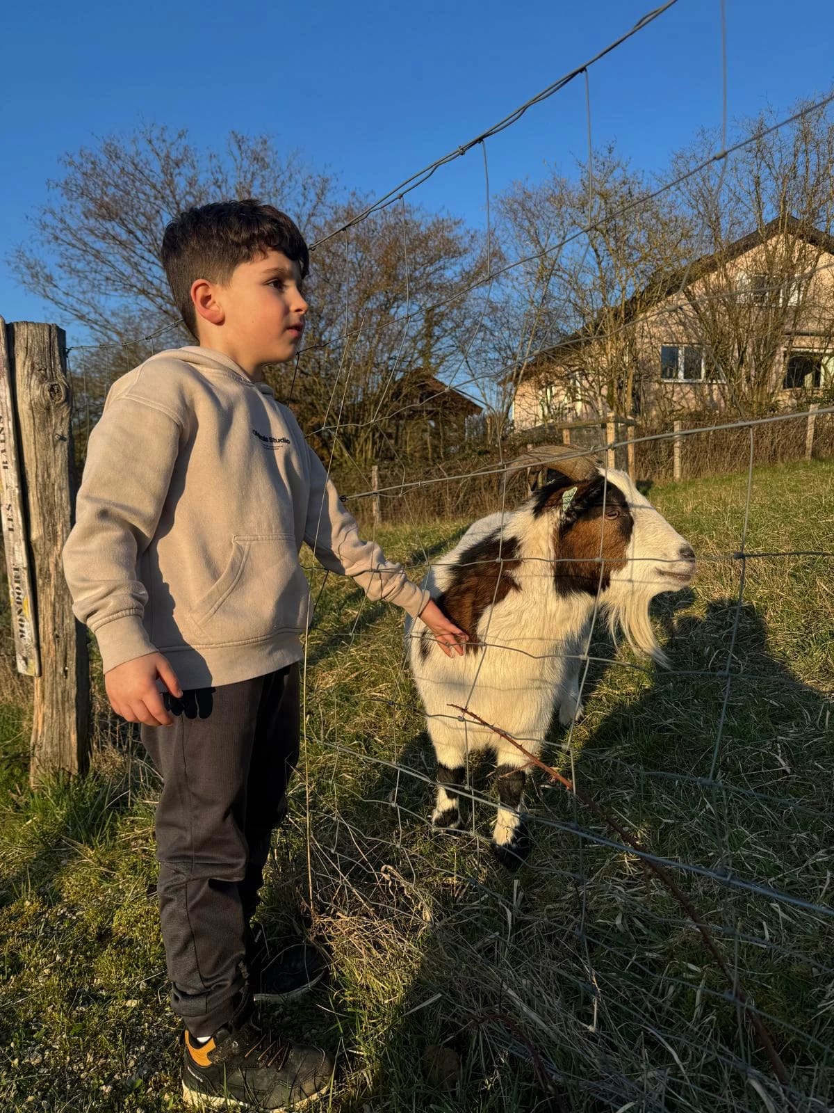 ELECINFO GRAND EST — electricien a Metz