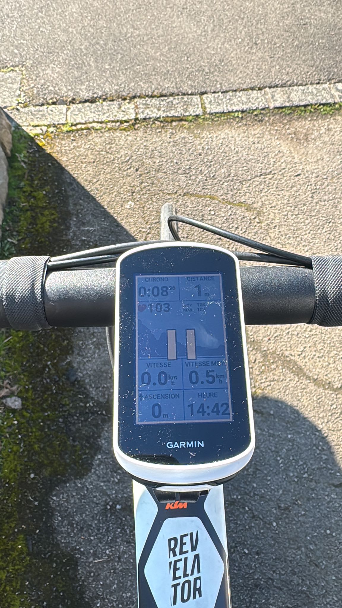 AZ KATHARINA — fleuriste a Thionville