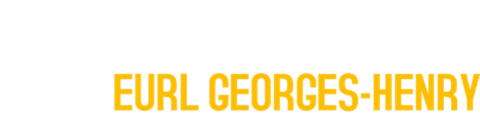 GEORGES HENRY