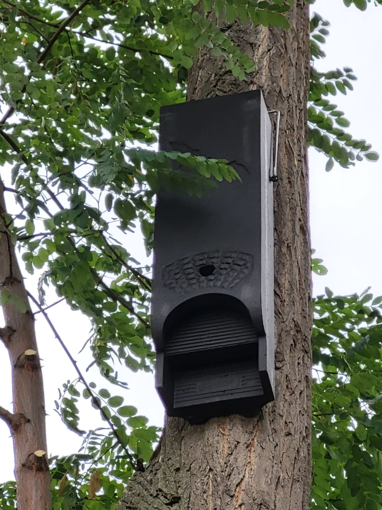 Installation de nichoirs pour la biodiversité en milieu urbain
