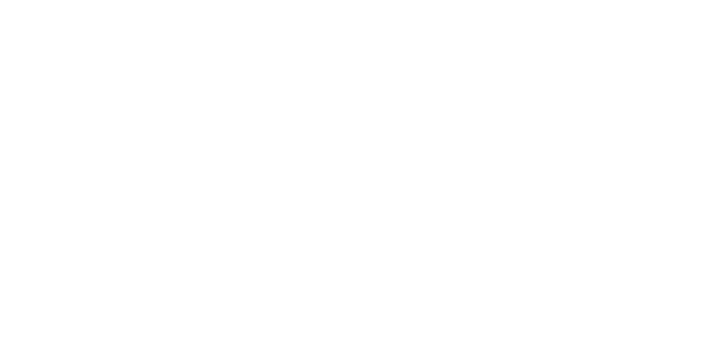 FACE Med Store logo