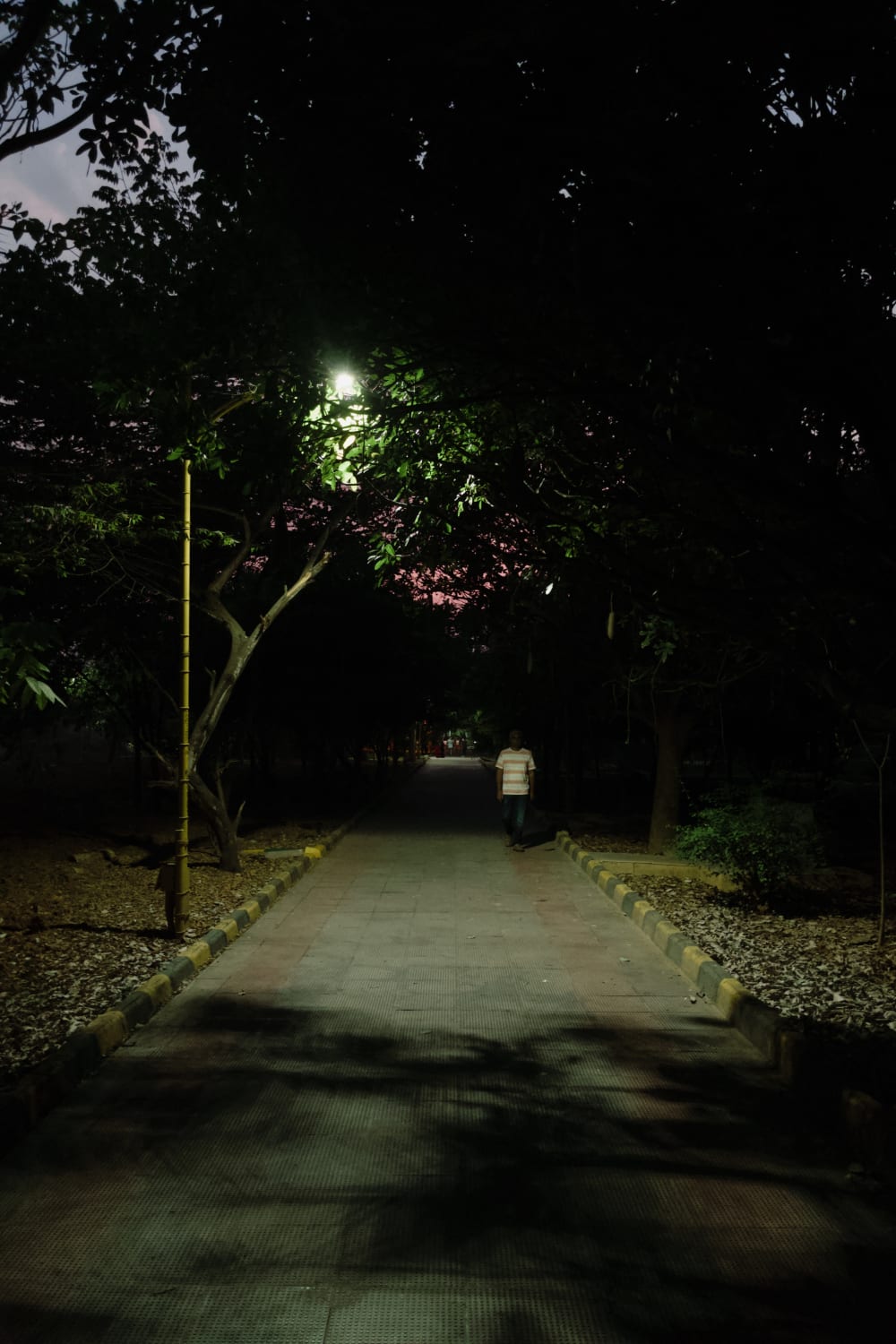 Bangalore park