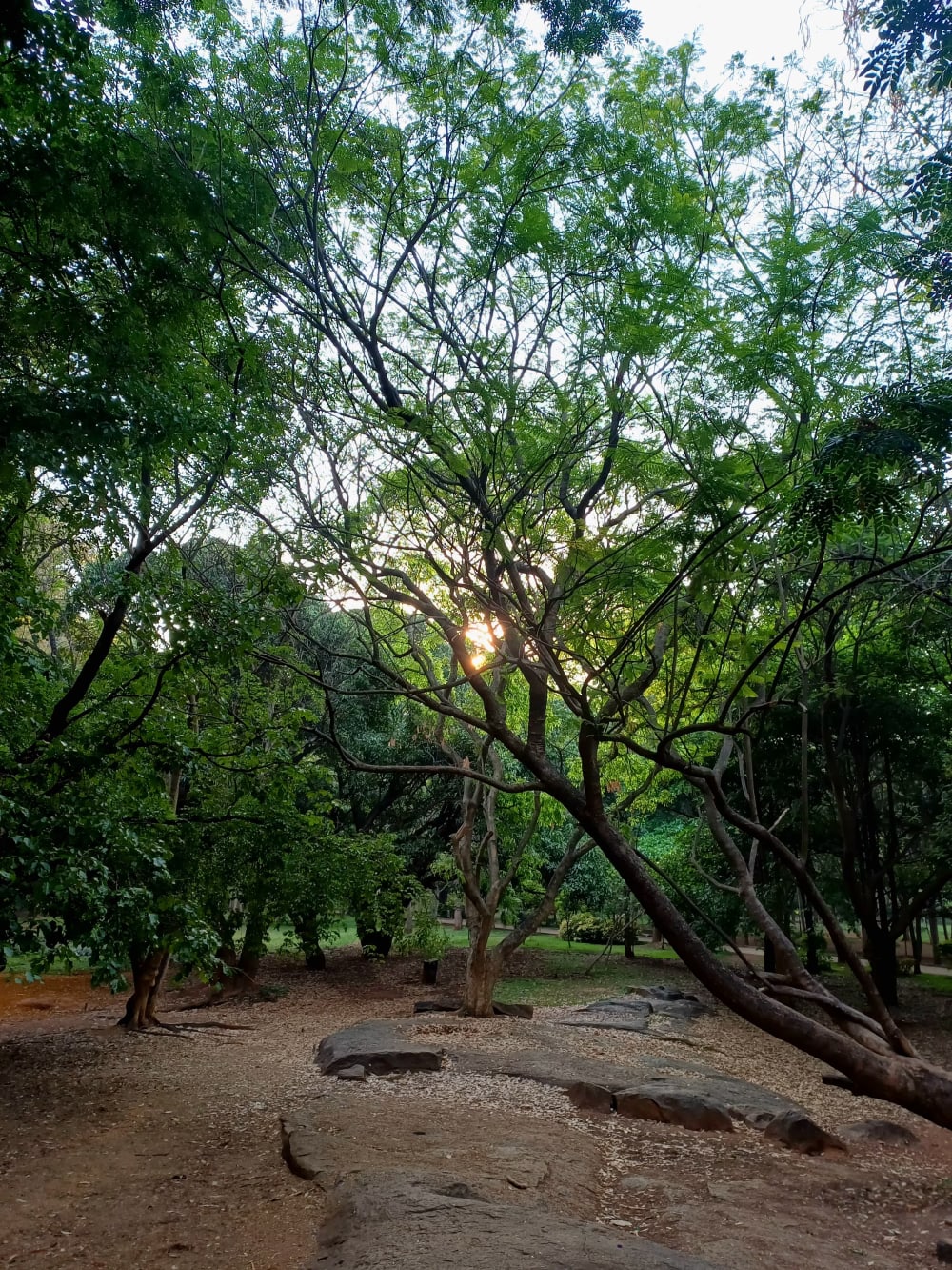 Bangalore