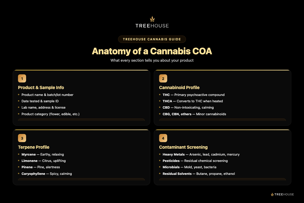 Infographic: Recipe Collection