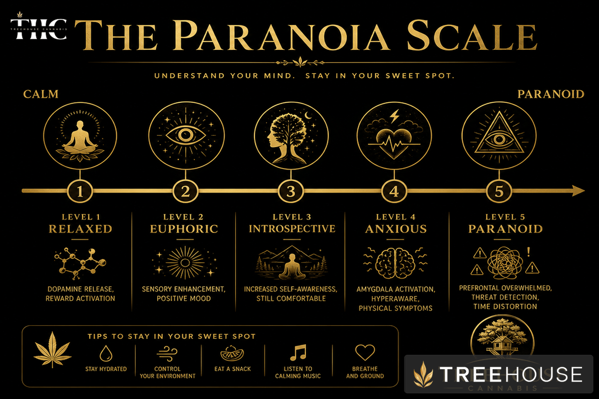 Infographic 2